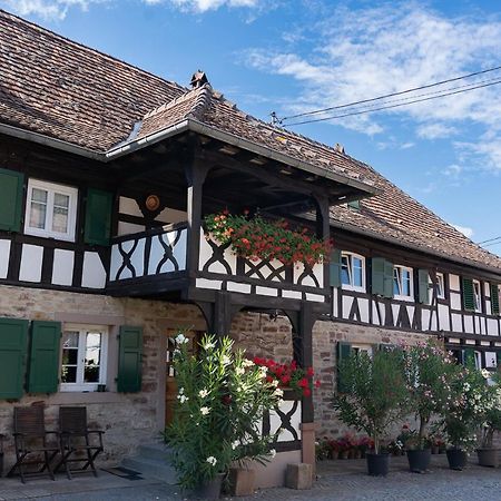 Chambres d'hôtes de charme à la ferme Freysz Quatzenheim Exterior foto
