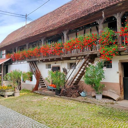 Chambres d'hôtes de charme à la ferme Freysz Quatzenheim Exterior foto