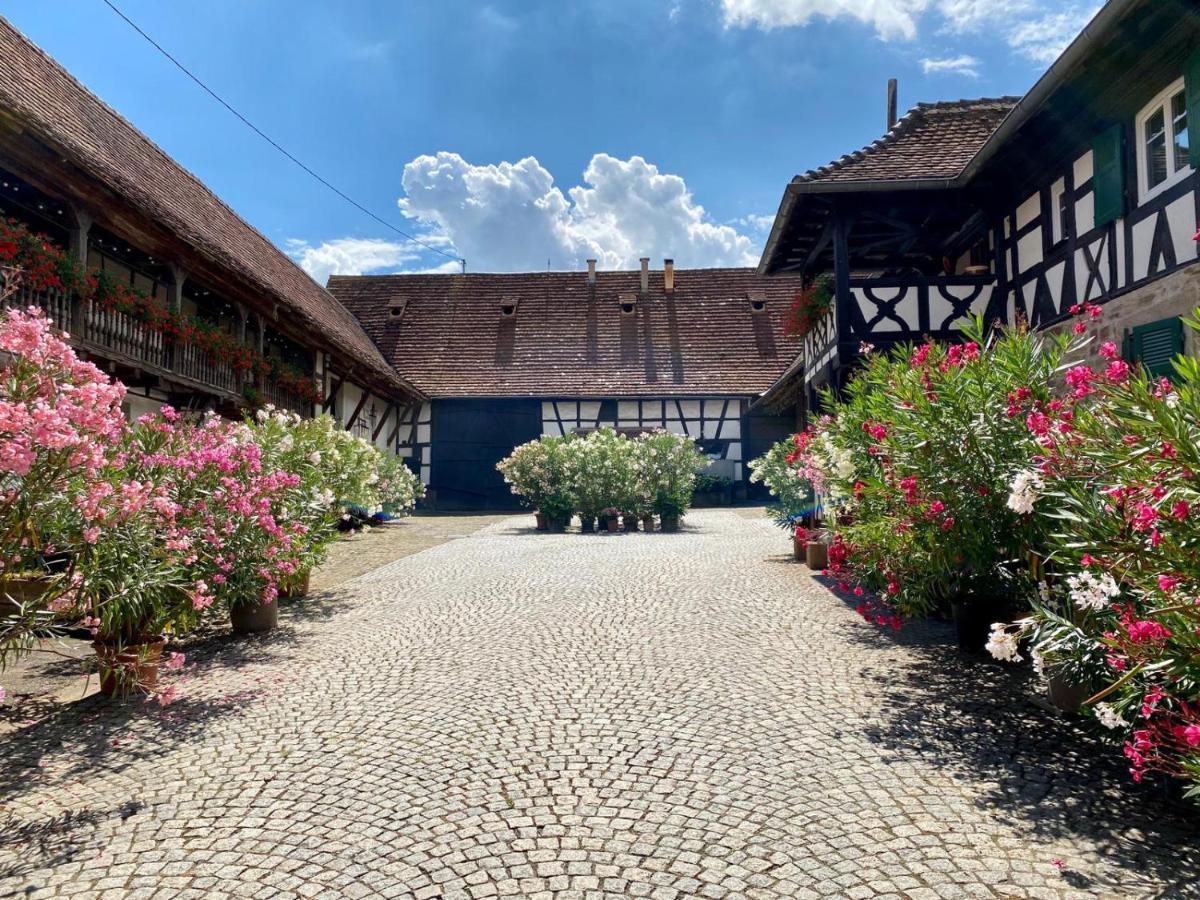 Chambres d'hôtes de charme à la ferme Freysz Quatzenheim Exterior foto
