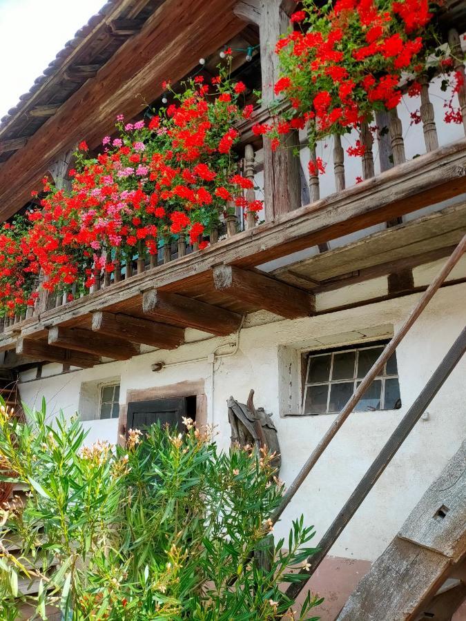 Chambres d'hôtes de charme à la ferme Freysz Quatzenheim Exterior foto
