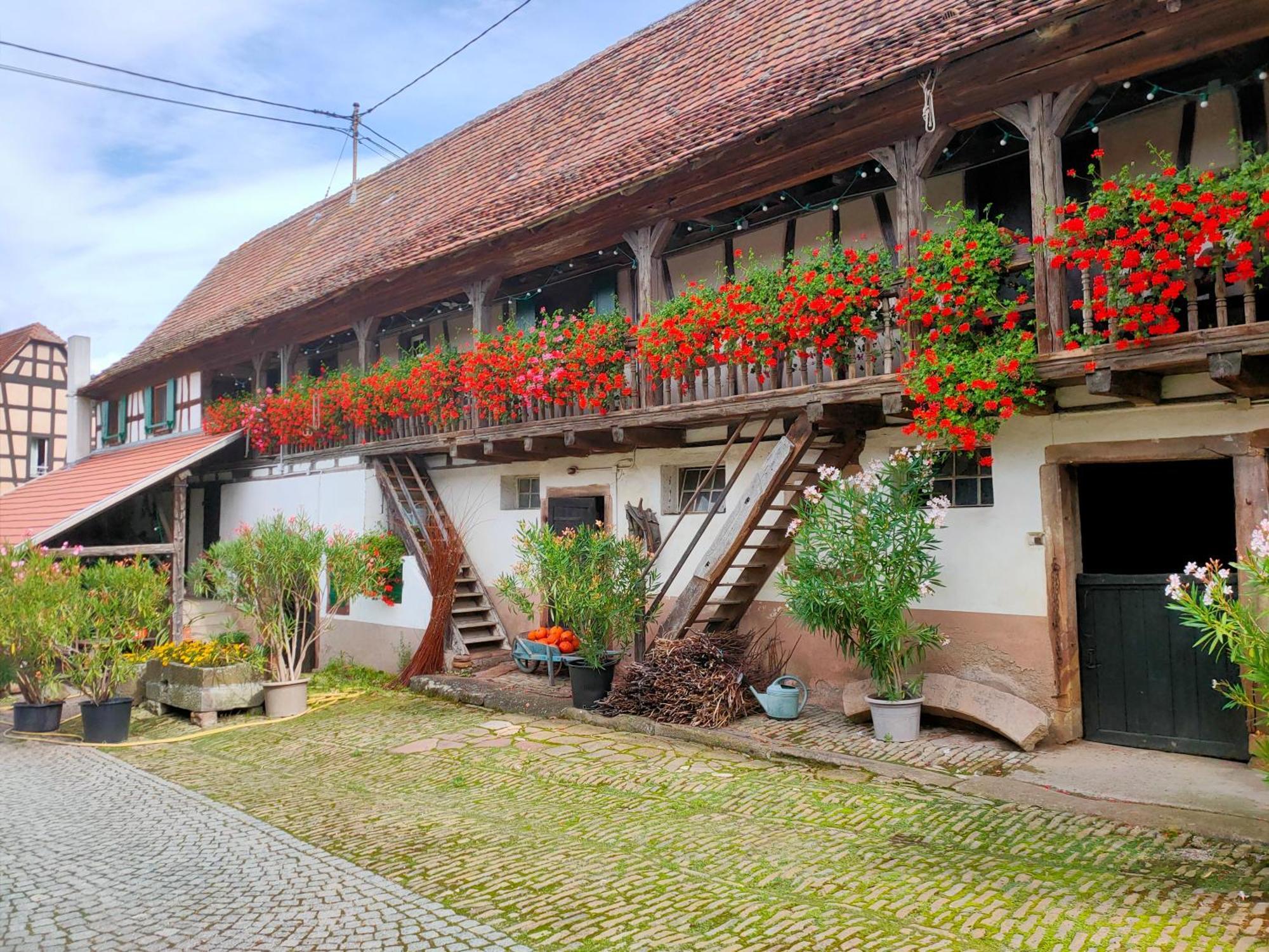 Chambres d'hôtes de charme à la ferme Freysz Quatzenheim Exterior foto